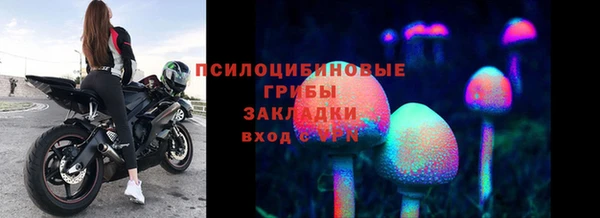 Альфа ПВП Осташков