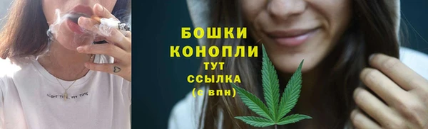 Альфа ПВП Осташков