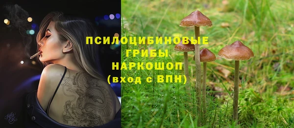 кристаллы Осинники